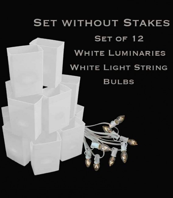 Set of 12 White Luminaries, White Light String with Bulbs, NO Stakes