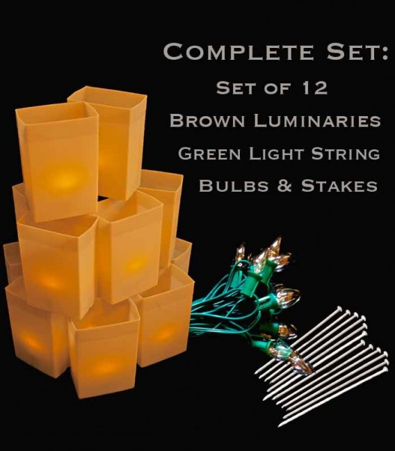 Set of 12 Brown Luminaries, Green Light String with Bulbs, Stakes