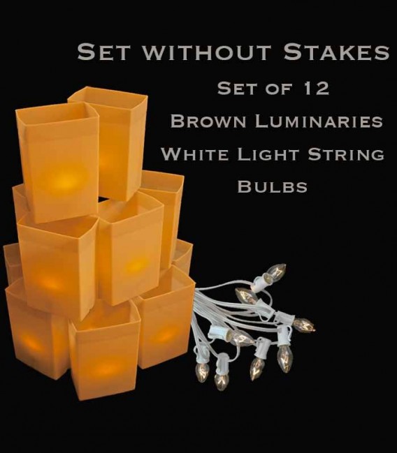 Set of 12 Brown Luminaries, White Light String with Bulbs, No Stakes