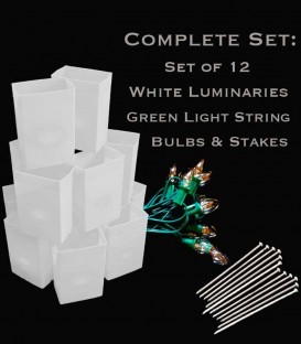 Set of 12 White Luminaries, Light String, Bulbs & Stakes