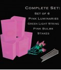 Set of 6 Pink Luminaries, Light String, Pink Bulbs & Stakes
