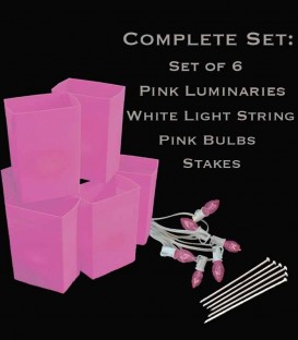 Set of 6 Pink Luminaries, White Light String, Pink Bulbs & Stakes
