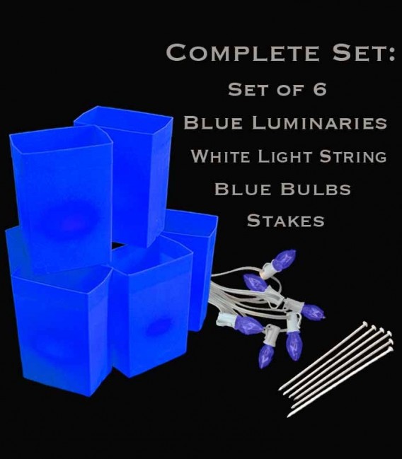 Set of 6 Blue Luminaries, white light strings with blue bulbs, stakes