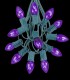 12 Socket Green Electric Light String, Purple Bulbs