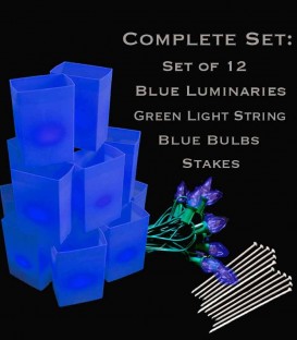 Set of 12 Blue Luminaries, Green Light String, Blue Bulbs, Stakes