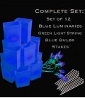 Set of 12 Blue Luminaries, Light String, Blue Bulbs, Stakes
