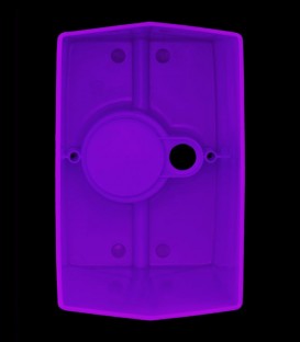 View looking inside Purple Luminary