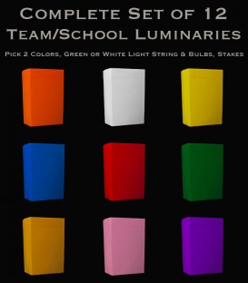 Set of 12 (You Pick 2 Colors) Luminaries, Light String, Bulbs & Stakes