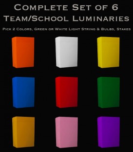 Set of 6 (You Pick 2 Colors) Luminaries, Light String, Bulbs & Stakes