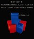 Example Set of 6 Team/School Luminaries, Light String, Bulbs & Stakes