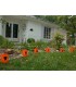 Set of 6 Halloween Luminaries