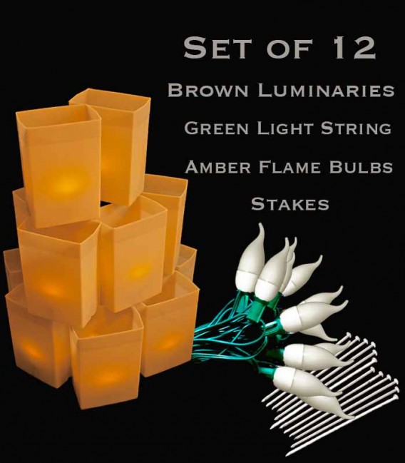 Set of 12 Brown Luminaries, green light string with flame bulbs, stakes