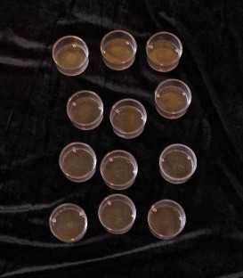 Candle Holders