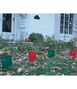 Holiday Luminaries