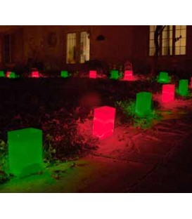 Christmas Luminaries
