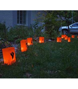 Halloween Luminaries