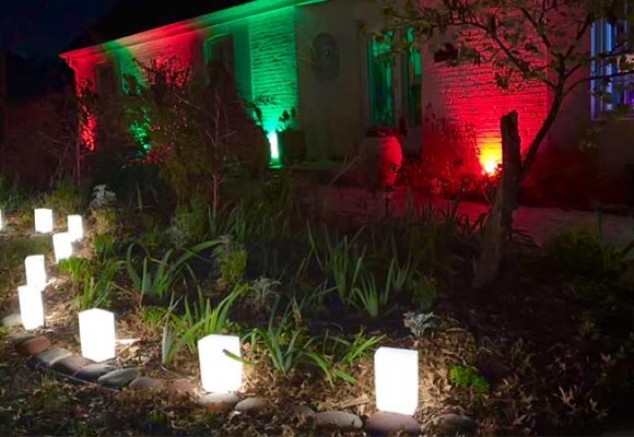 FLAME Bulbs Available NOW!