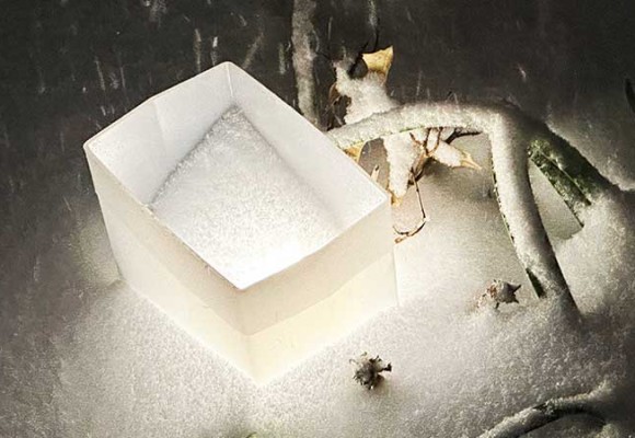 Snow and Luminaries