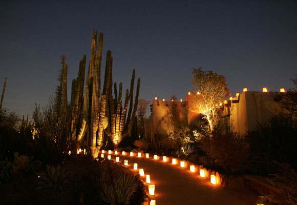 Desert Botanical Garden
