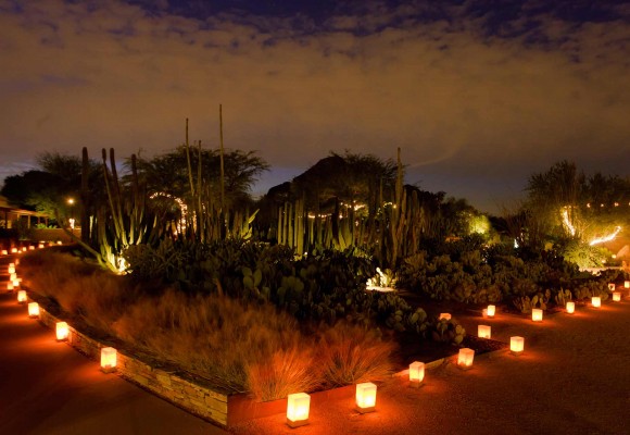 Desert Botanical Garden