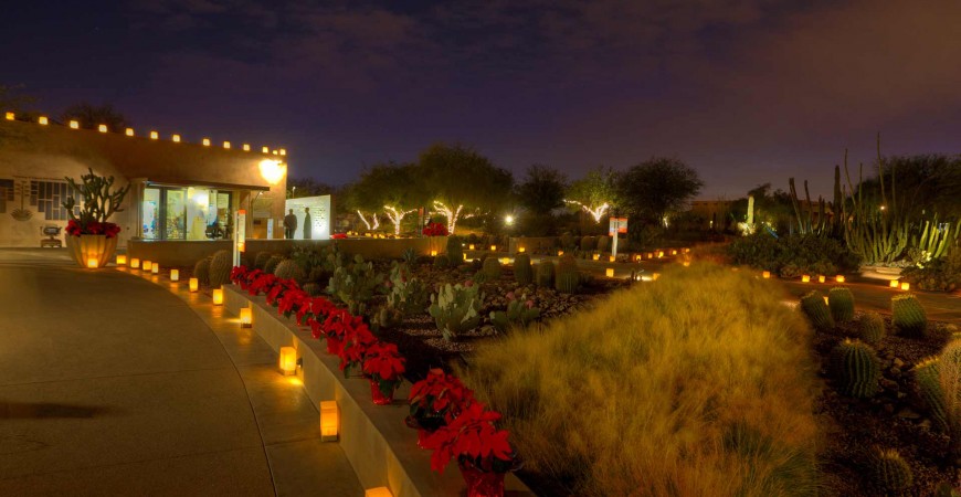 Desert Botanical Garden