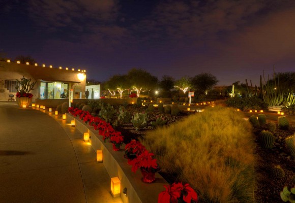 Desert Botanical Garden